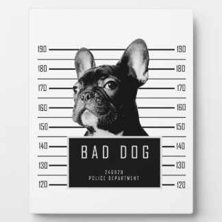 Plaque Photo Chemise de Mugshot de Chien-taureau français