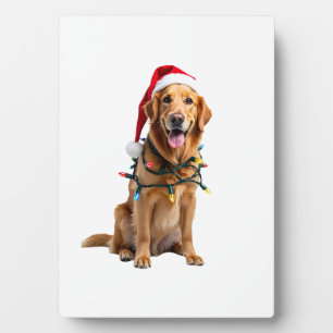 Plaque Photo Chemise de Noël pour chien, Golden retriever de No