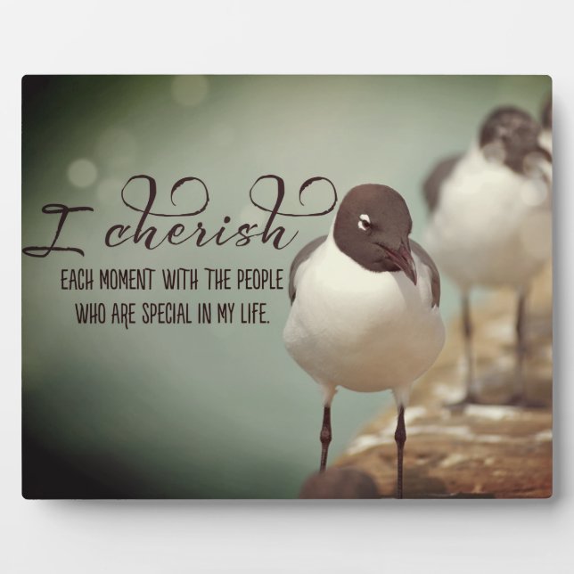 Plaque Photo Chercher chaque instant (Devant)