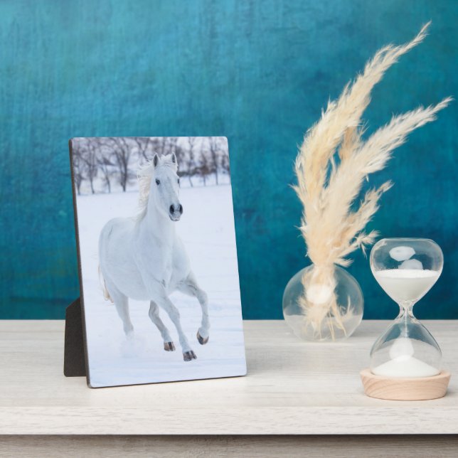 Plaque Photo Cheval blanc courant dans la neige (Côté)