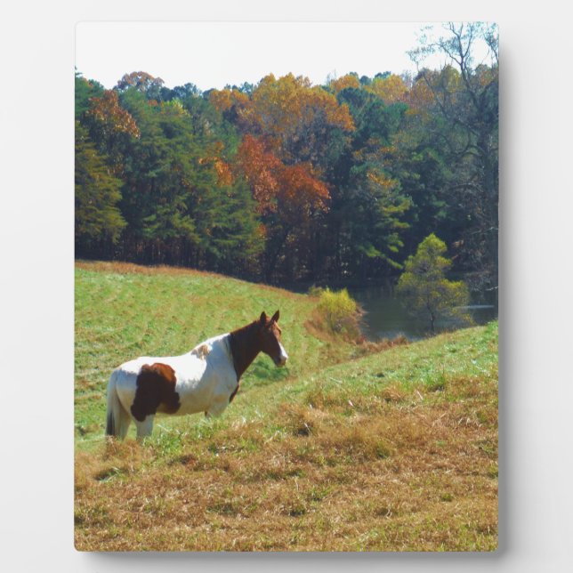 Plaque Photo Cheval blanc et Brown, étang d'automne (Devant)