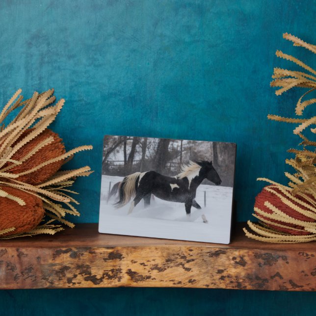 Plaque Photo Cheval courant à travers la neige (Côté)