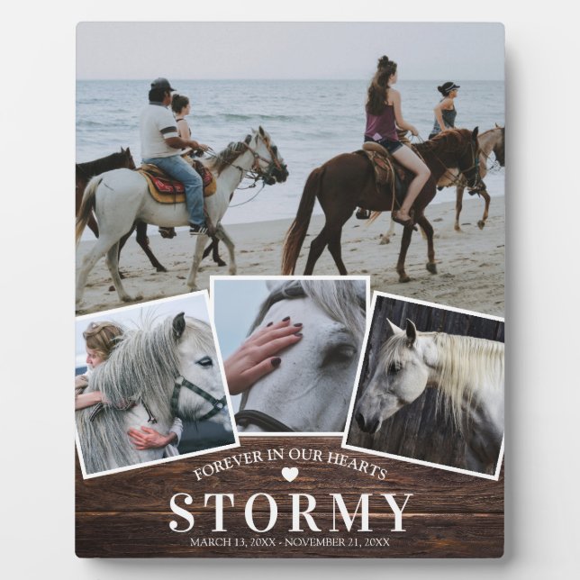 Plaque Photo Cheval de compagnie rustique 4 Collage photo et mé (Devant)