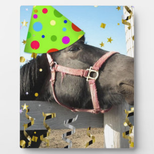Plaque Photo Cheval de fête