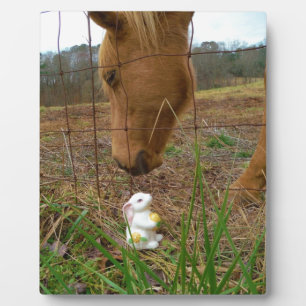 Plaque Photo cheval et fleur de printemps Bunny