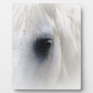 Plaque Photo Cheval et floral