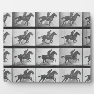 Plaque Photo Cheval galopant, assiette 628 de 'Locomotion Anima