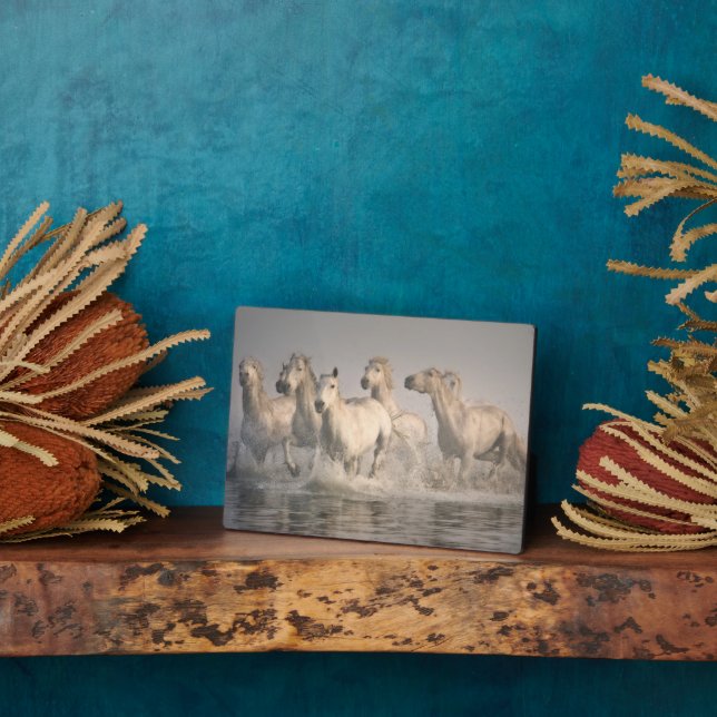 Plaque Photo Cheval galopant dans l'eau méditerranéenne (Côté)