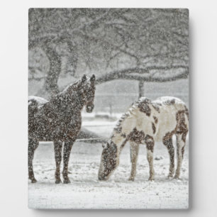 Plaque Photo cheval hiver neige ferme ranch animaux enneigés ge