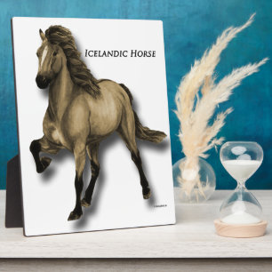 Plaque Photo Cheval islandais vintage