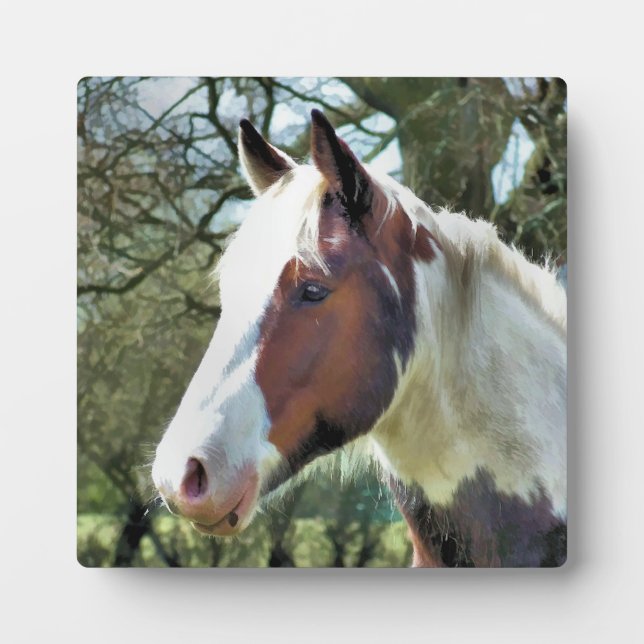 PLAQUE PHOTO CHEVAUX (Devant)