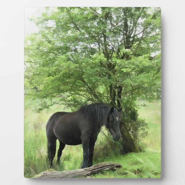 PLAQUE PHOTO CHEVAUX (Devant)