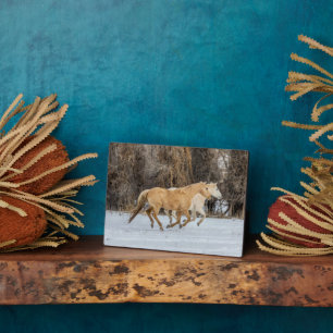 Plaque Photo Chevaux courant dans la neige