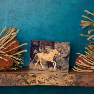 Plaque Photo Chevaux courant dans un ranch Ponderosa