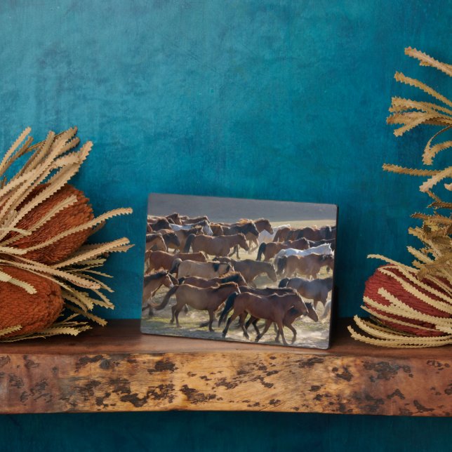 Plaque Photo Chevaux dans le ranch, Mongolie intérieure, Chine (Côté)