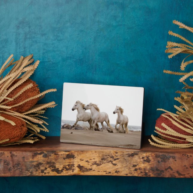 Plaque Photo Chevaux de Camargue courant sur la plage (Côté)