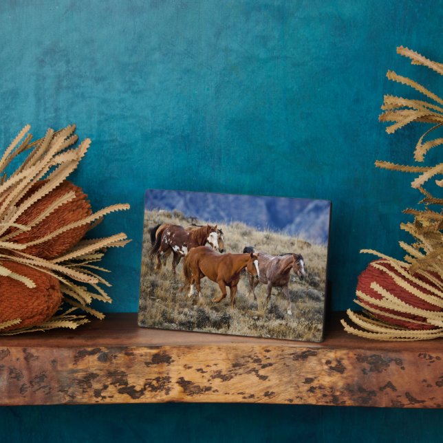 Plaque Photo Chevaux errant dans les collines (Côté)