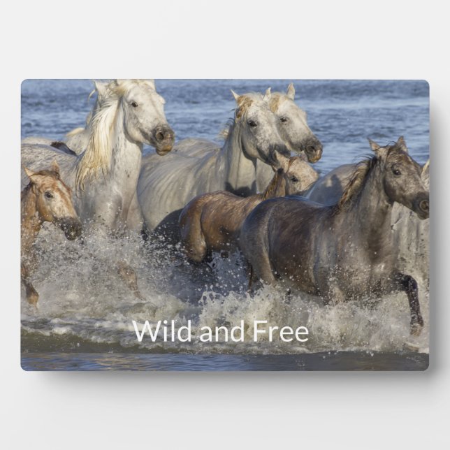 Plaque Photo Chevaux galopant dans l'eau (Devant)