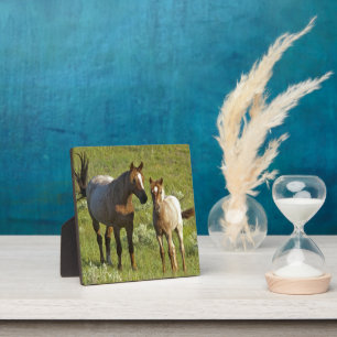 Plaque Photo Chevaux sauvages dans le Dakota du Nord