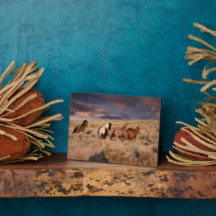 Plaque Photo Chevaux sauvages en course