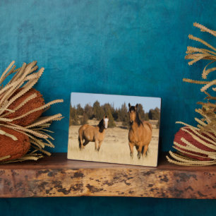 Plaque Photo Chevaux sauvages, montagnes Steens