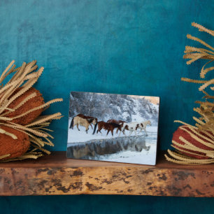 Plaque Photo Chevaux traversant le ruisseau