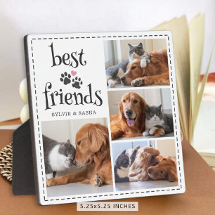 Plaque Photo Chien Chat Meilleurs Amis Empreintes 4 Photos Pers