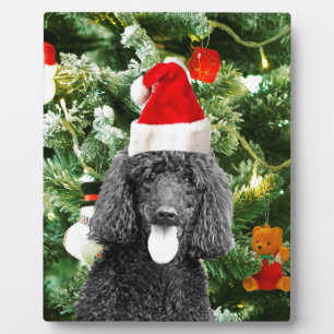 Plaque Photo Chien de caniche sapin de Noël Snowman Red Santa C