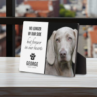 Chien Fidèle Plus À Nos Côtés | Photo Souvenir