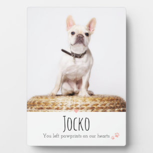 Plaque Photo Chien Memorial Animaux de compagnie Perte Keepsaké
