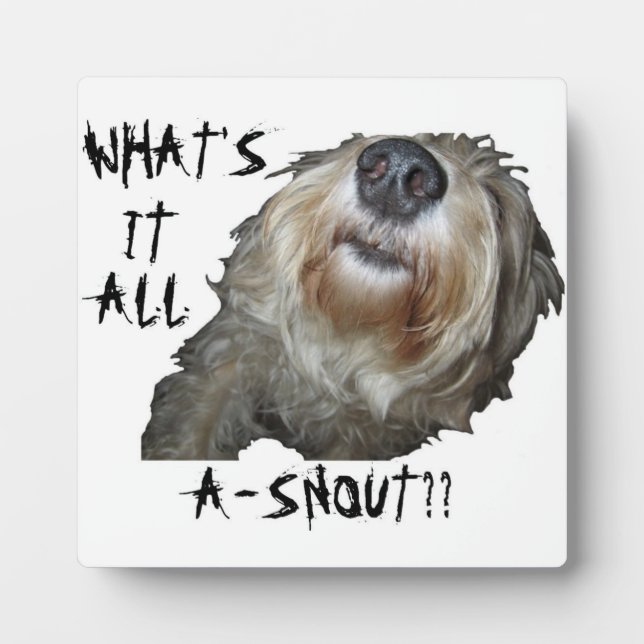 Plaque Photo Chien "QU'EST-CE QUE C'EST QUE DE LA NEIGE ? ?" Pl (Devant)