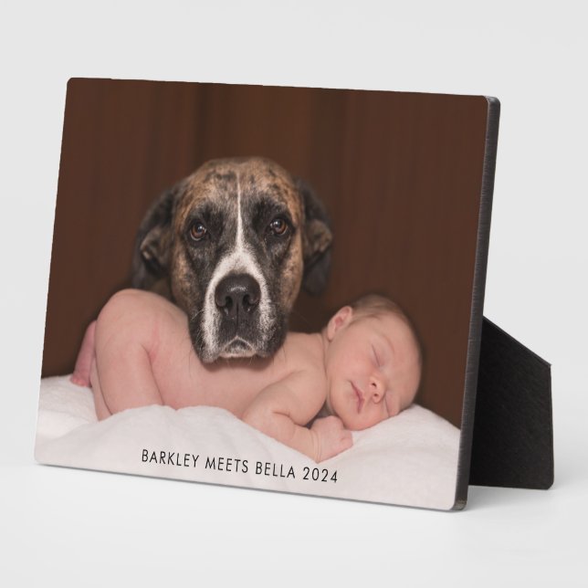 Plaque Photo Chien rencontre un nouveau bébé (Côté)