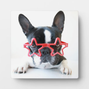Plaque Photo Chien-taureaux Français Avec Lunettes Red Star