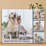 Plaque Photo CHIEN VRAI AMOUR Amoureux des chiens personnalisé<br><div class="desc">True Love A Quatre Pâtes ! Célébrez votre meilleur ami avec une plaque photo unique personnalisée pour chien et gardien. Surprenez votre amoureux des chiens préféré, que ce soit un anniversaire, la fête des mères, la fête des valentines, ou Noël avec cette jolie plaque de chien photo d'amour. Ce Véritable...</div>