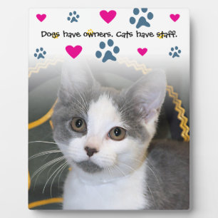 Plaque Photo Chiens Ont Propriétaires-Chats Ont Personnel