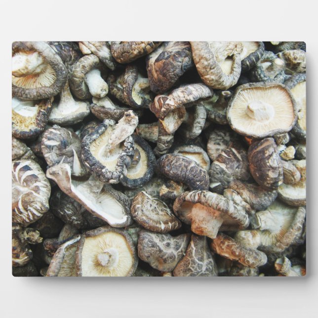 Plaque Photo Chiitake Musrooms (Devant)