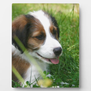 Plaque Photo Chiot