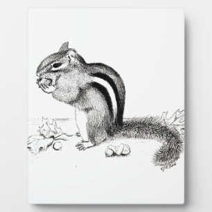 Plaque Photo Chipmunk