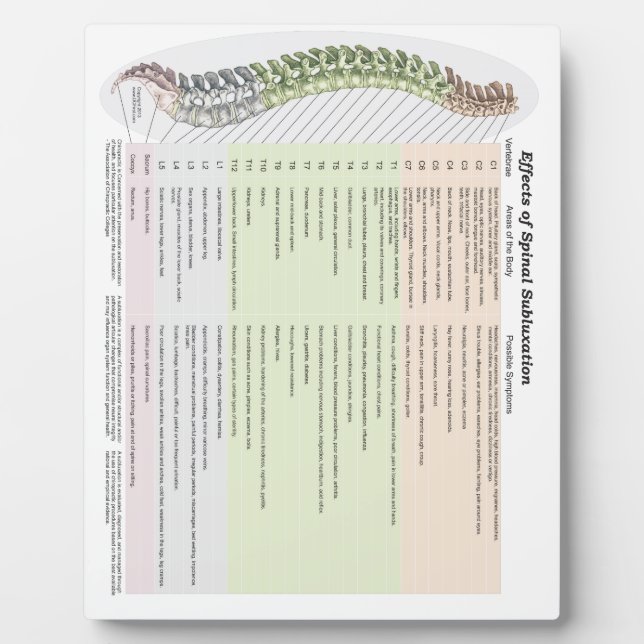 Plaque Photo Chiropractic Effects of Spinal Subluxation Easel (Devant)