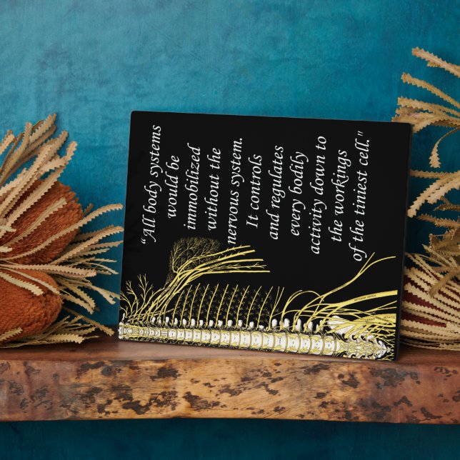 Plaque Photo Chiropratique Système nerveux Quote Easel (Côté)