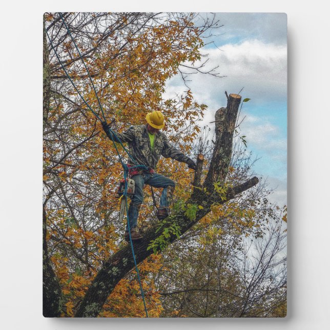 Plaque Photo Chirurgien des arbres (Devant)