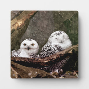 Plaque Photo Chouette Harfang Couple Art Bois Faune