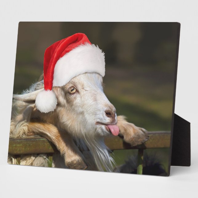 Plaque Photo Christmas Goat (Côté)