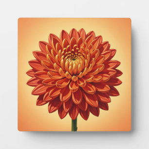 Plaque Photo Chrysanthème botanique rouge orange vibrant 