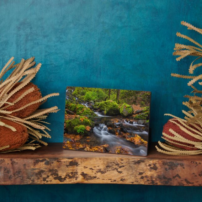 Plaque Photo Chutes du ruisseau Starvation | Columbia Gorge, Or (Côté)