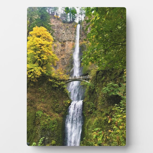 Plaque Photo Chutes Multnomah, Columbia River Gorge, Oregon (Devant)