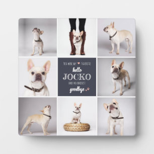 Plaque Photo Citation de la sympathie commémorative pour animau