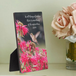 Plaque Photo Citation philosophique Aristote de colibri