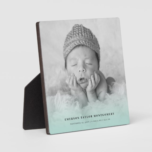 Plaque Photo Classic Simple Mint Gradient New Baby Photo Easel (Recto)