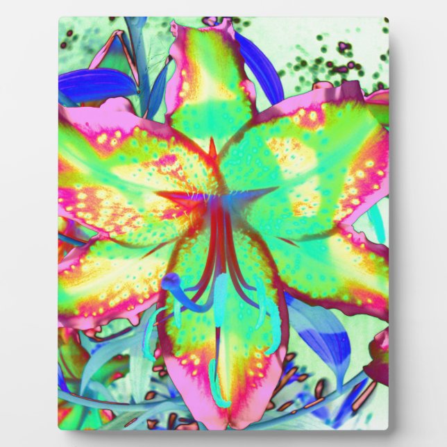 Plaque Photo Clé West Lily (Devant)